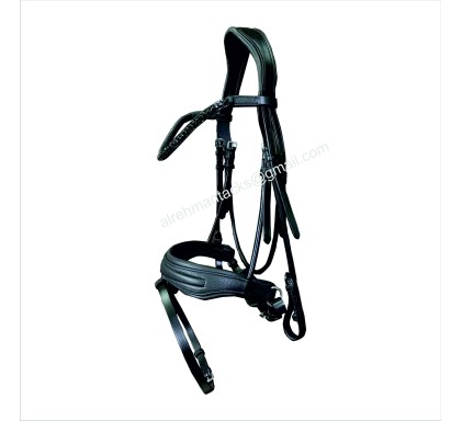 Leather Bridle 